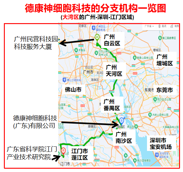 德康神细胞科技的分支机构地理分布图