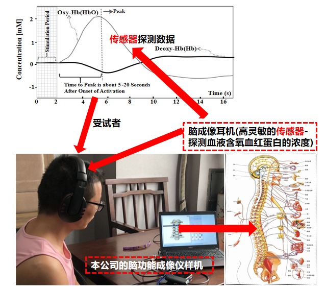 精准医学影像及其在精准手术切除中的临床应用